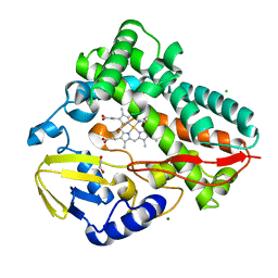 BU of 8spc by Molmil