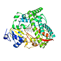 BU of 8spd by Molmil