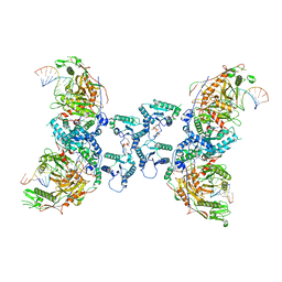 BU of 8spo by Molmil