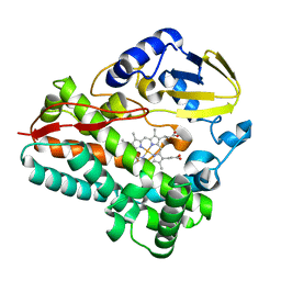 BU of 8spp by Molmil