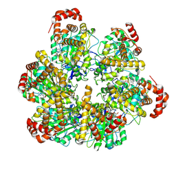 BU of 8spw by Molmil