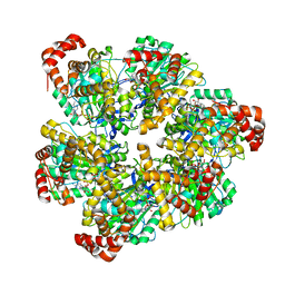 BU of 8spx by Molmil