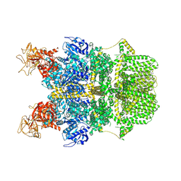 BU of 8sra by Molmil