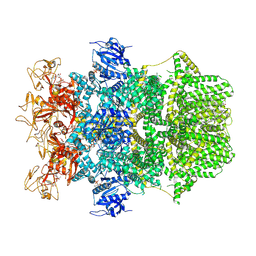 BU of 8src by Molmil