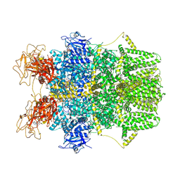 BU of 8srh by Molmil