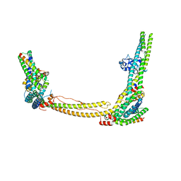 BU of 8srm by Molmil