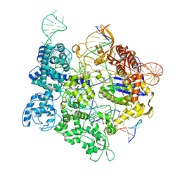 BU of 8srs by Molmil