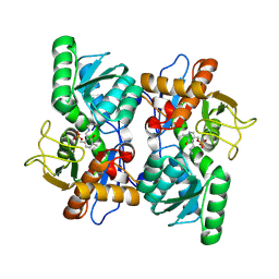 BU of 8srt by Molmil