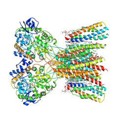 BU of 8ssb by Molmil