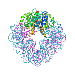 BU of 8std by Molmil