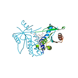 BU of 8sti by Molmil