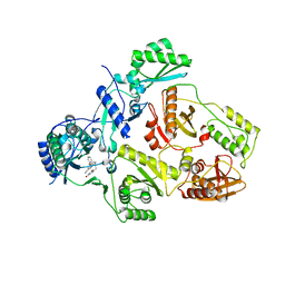 BU of 8stp by Molmil