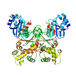 BU of 8stx by Molmil