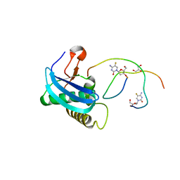 BU of 8sv3 by Molmil