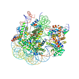 BU of 8svf by Molmil