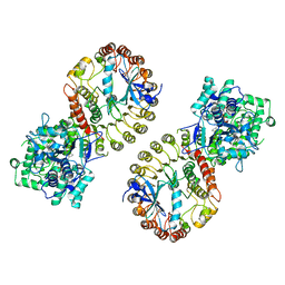 BU of 8sxn by Molmil