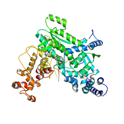 BU of 8sxu by Molmil