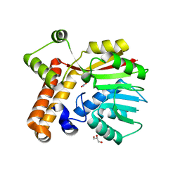 BU of 8t1a by Molmil