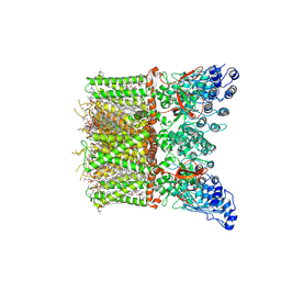 BU of 8t1b by Molmil