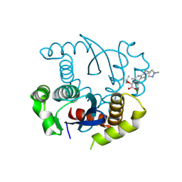 BU of 8t5a by Molmil