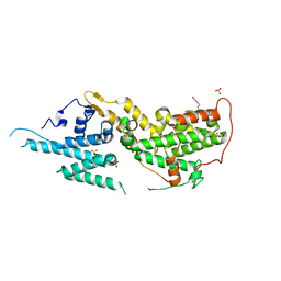 BU of 8t5m by Molmil