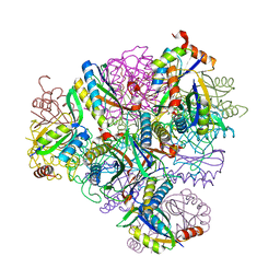 BU of 8t6c by Molmil