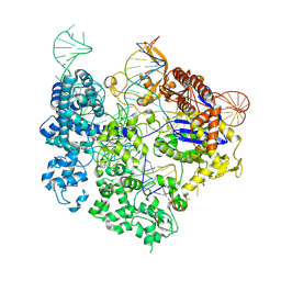 BU of 8t6x by Molmil