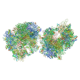 BU of 8t8c by Molmil