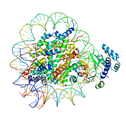 BU of 8t9h by Molmil