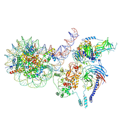 BU of 8tb9 by Molmil