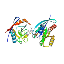 BU of 8tbi by Molmil