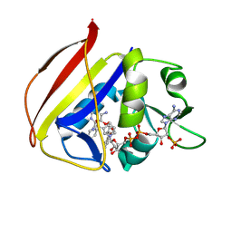 BU of 8tbr by Molmil