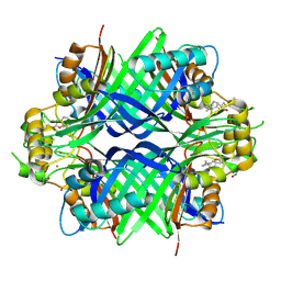 BU of 8tcc by Molmil