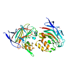 BU of 8tda by Molmil