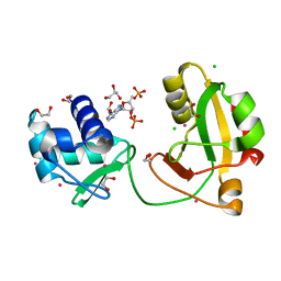 AU of 8tfx by Molmil