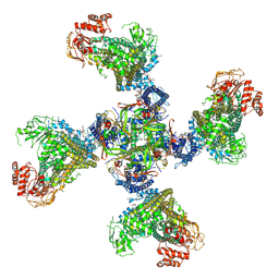 BU of 8ti2 by Molmil