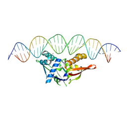 BU of 8tj1 by Molmil