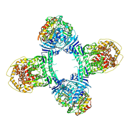 BU of 8tk1 by Molmil