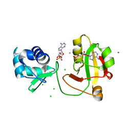 BU of 8tkb by Molmil