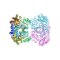 BU of 8tlc by Molmil