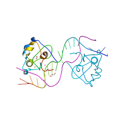 BU of 8tll by Molmil