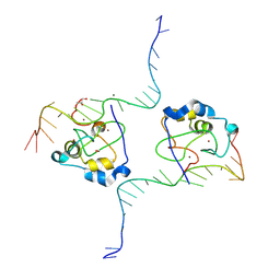 AU of 8tll by Molmil