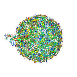 BU of 8toc by Molmil