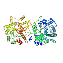 BU of 8toh by Molmil