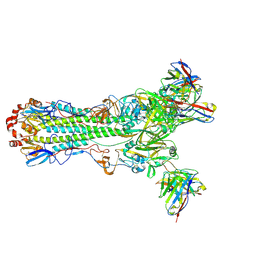 BU of 8tp5 by Molmil