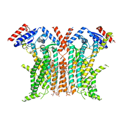 BU of 8tpm by Molmil