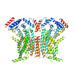 BU of 8tpo by Molmil