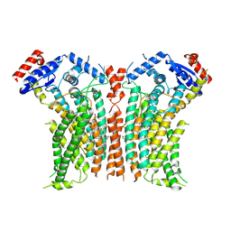 BU of 8tpr by Molmil