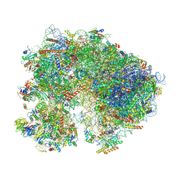 AU of 8tpu by Molmil