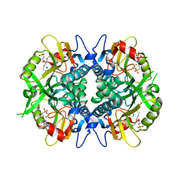 BU of 8tpv by Molmil